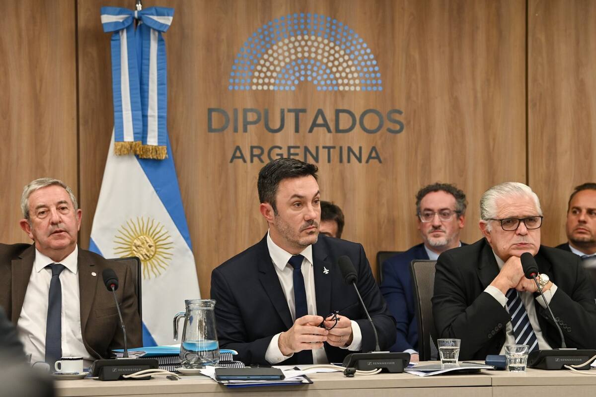 El ministro Petri, junto al presidente de la Comisión de Defensa de la Cámara de Diputados, Ricardo López Murphy