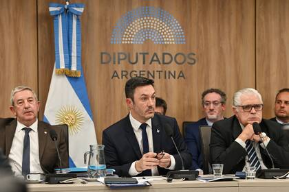 El ministro Petri, junto al presidente de la Comisión de Defensa de la Cámara de Diputados, Ricardo López Murphy