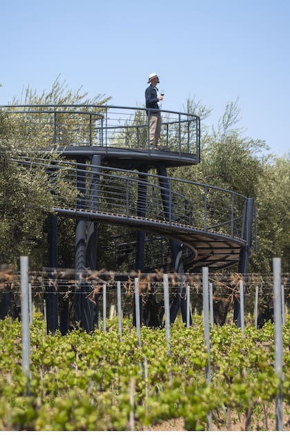 El mirador de Finca El Paraíso, de Luigi Bosca