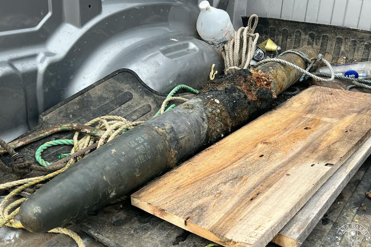 El misil medía aproximadamente cinco pies de longitud y pesaba 150 libras