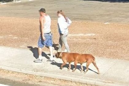 El misterioso caso del perro de seis patas en Google Maps