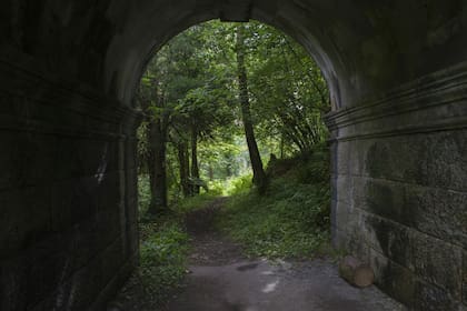 Un área debajo del puente Overtoun en Dumbarton, Escocia. Desde la década de 1950, cientos de perros han saltado del puente de piedra gótica.