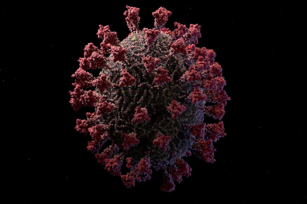 El modelo 3D del coronavirus covid-19 fue representado por la firma Visual Science con las mismas técnicas utilizadas para crear las visualizaciones del virus del HIV, el Zika y el Ébola