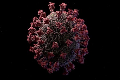 El modelo 3D del coronavirus covid-19 fue representado por la firma Visual Science con las mismas técnicas utilizadas para crear las visualizaciones del virus del HIV, el Zika y el Ébola