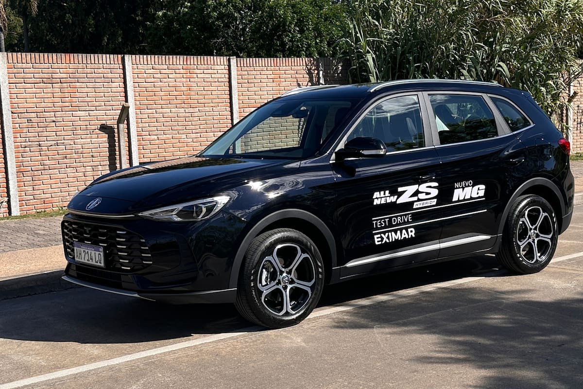 El modelo tiene un modelo tradicional