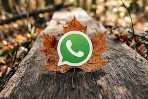 El “modo hoja seca” en WhatsApp