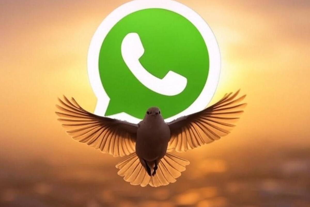 El "modo libertad" de WhatsApp se puede activar en pocos pasos