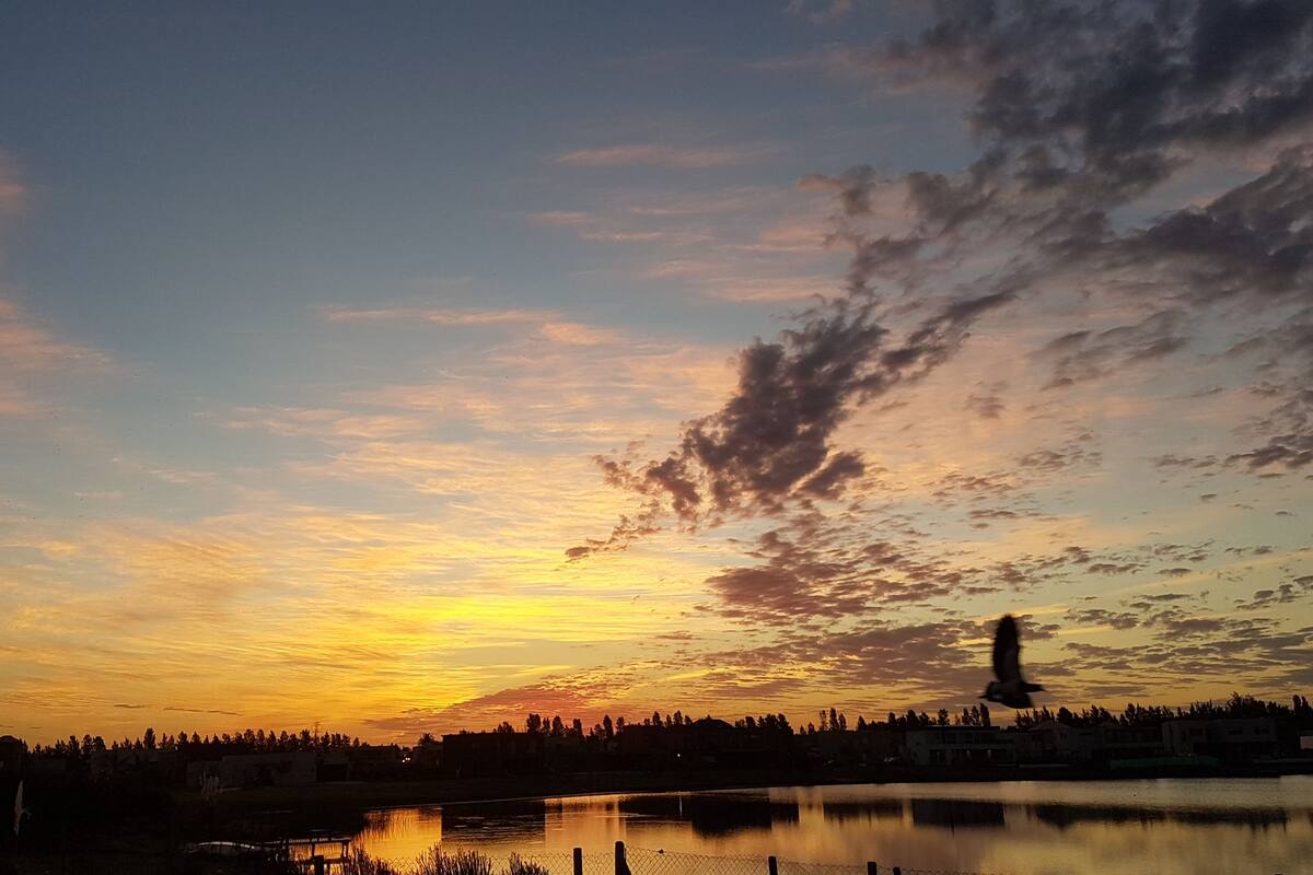 El modo manual de las cámaras de los buenos smartphones permite imágenes que en modo automático serían impensables. Aquí, un atardecer con colores y contrastes atractivos y, de casualidad, el tero que pasa volando quedó con un leve efecto de barrido
