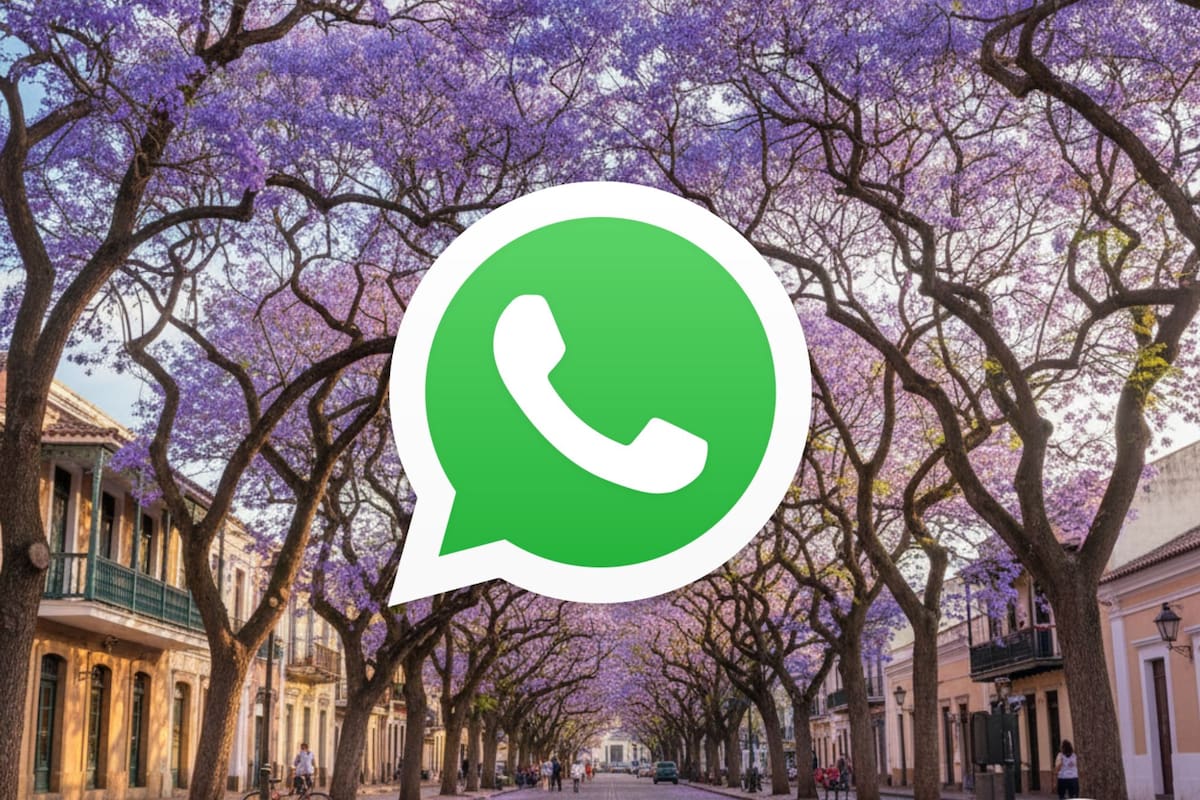 El "modo Primavera" de WhatsApp
