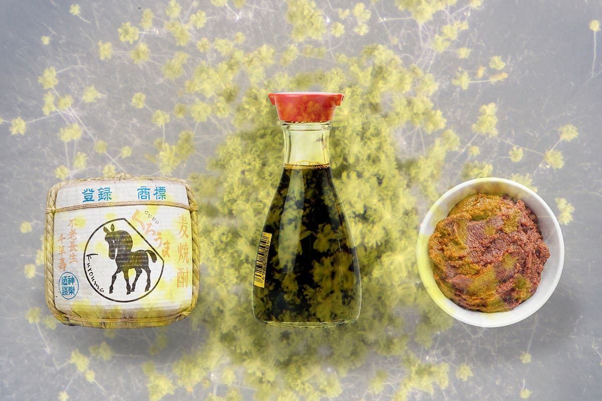 El moho Aspergillus oryzae ayuda a elaborar varios alimentos fermentados, como el miso, la salsa de soja y el sake