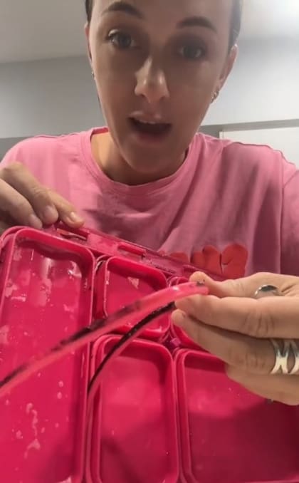El moho que vio en los sellos de la vianda escolar de su pequeña hija