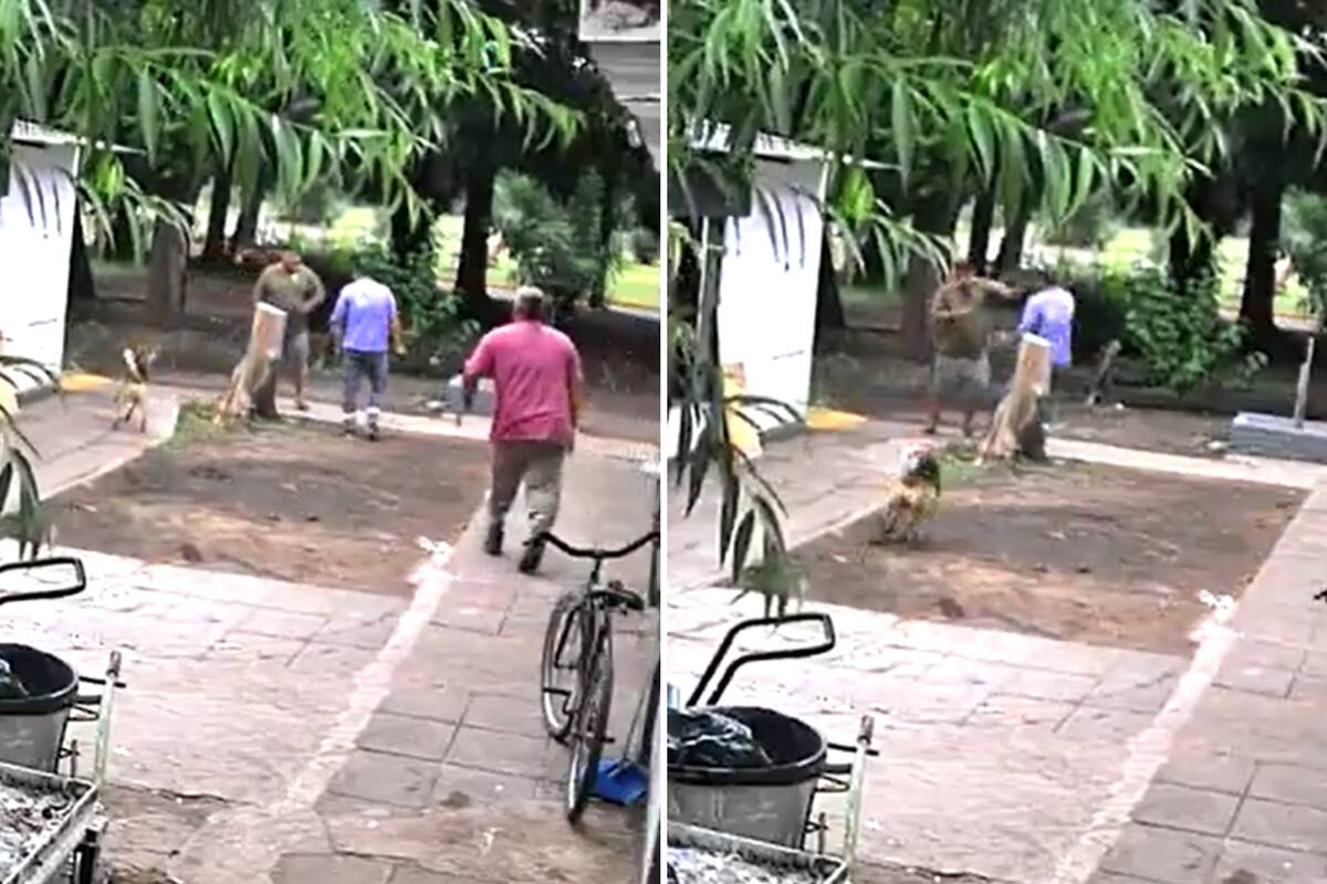 El momento de la discusión entre los empleados del cementerio. Foto: captura