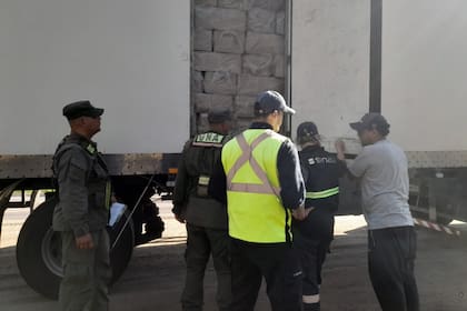 El momento de la inspección al camión con pescado