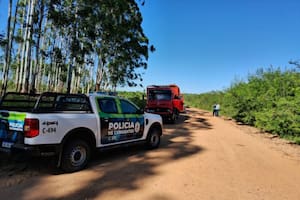 El momento de la intercepción del camión con veinte cabezas de vacuno que se transportaban con otra documentación