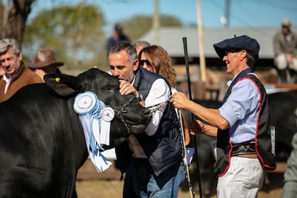 El momento de la premiación de un toro