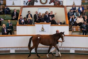 El momento de la subasta de la hija de Frankel identificada como el lote 68, en Tattersalls; Kia Joorabchian hizo la oferta más alta