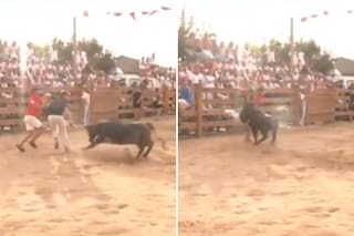 Metieron a un periodista en una corrida para hacerle una broma y terminó embestido