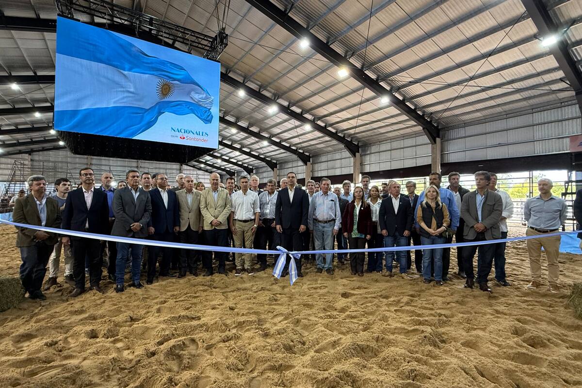 El momento del corte de cintas