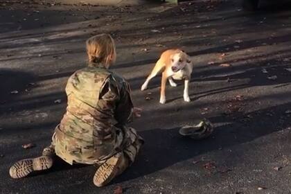 El momento del reencuentro entre una joven militar y su perro.