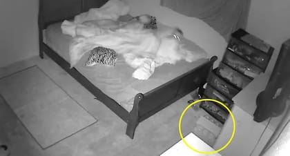 El momento donde el lego cae al piso y despierta a uno de los niños