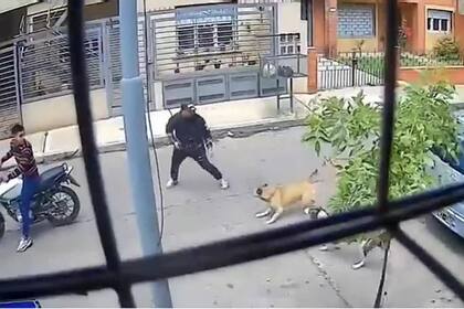 El momento en el que dos perras evitaron que motochorros le roben a un hombre