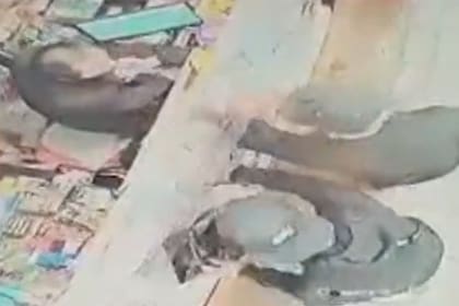 El momento en el que el comerciante decide defenderse con un arma blanca frente al asalto