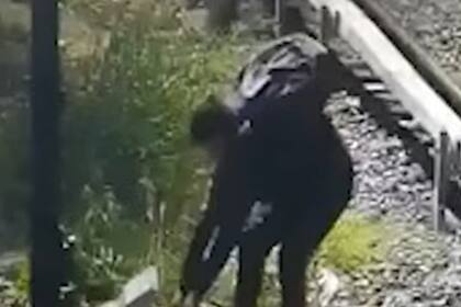 El momento en el que el delincuente intenta robar los cables de las vías del tren