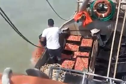 El momento en el que el marinero tira al agua 300 kilos de langostinos