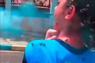 Una joven de 12 años fue atacada por un enjambre de abejas: sufrió múltiples picaduras y quedó en shock