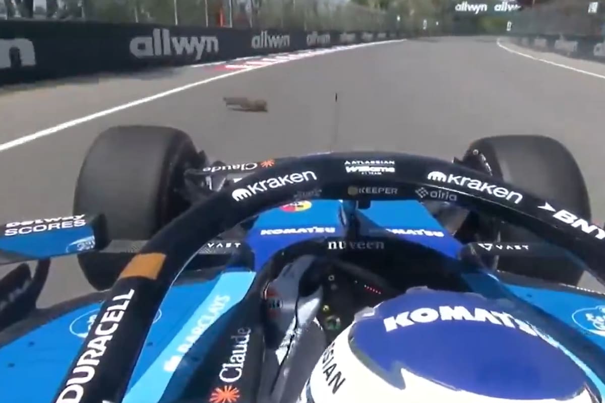 El momento en el que la marmota ingresa a la pista e impacta contra el auto de Albon, que iba a alta velocidad