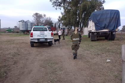 El momento en el que la policía y el dueño se encontraron un camión, al fondo con chasis rojo, cargando el ganado en la localidad de 9 de Julio, provincia de Buenos Aires. CPR 9 de Julio