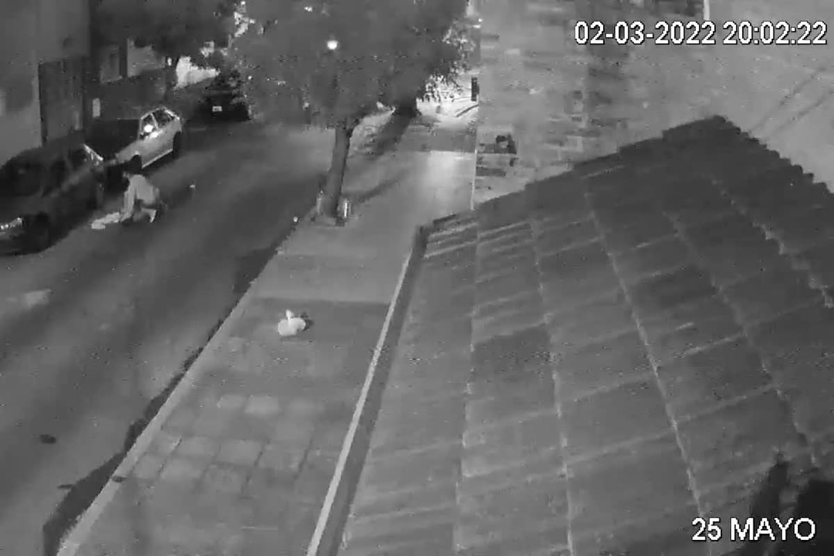 El momento en el que ladrones arrastraron por la calle a una joven en Vicente López
