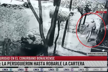 El momento en el que un ladrón escapa con la cartera de una mujer