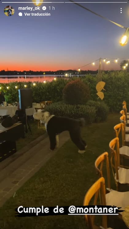 El momento en el que un perro interrumpe la fiesta para ladrarle a la banda en vivo