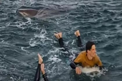 El momento en el que un turista francés es atacado por un tiburón