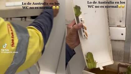El momento en que aparecieron los sapos en la cisterna