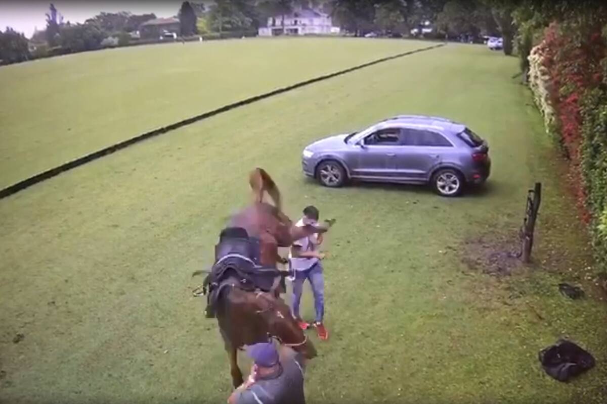 El momento en que el caballo le da una patada al encargado de los equinos