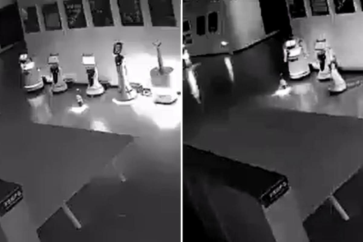 El momento en que el robot logra secuestrar a otros al pedirles que lo acompañen a casa. Foto: captura