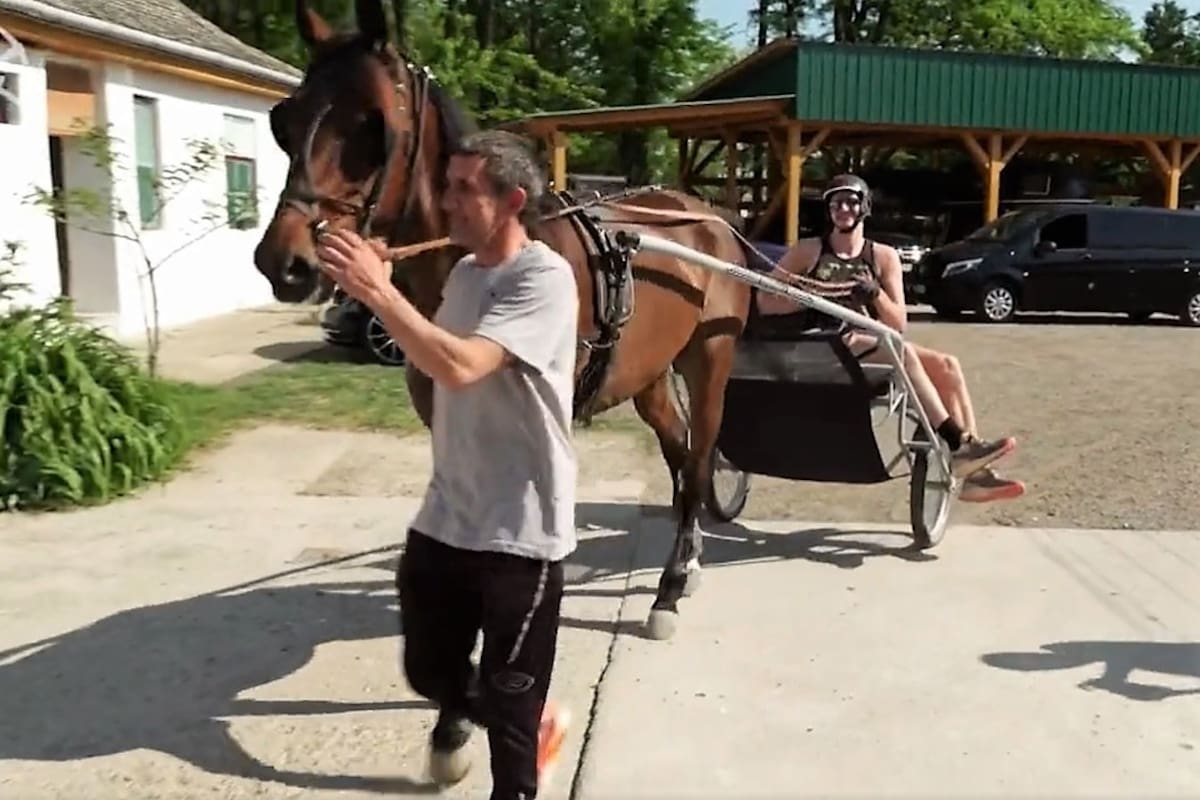 El momento en que Jokic recibe el premio MVP, en su Sombor natal, en Serbia