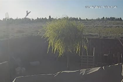 El momento en que la avioneta sufre un desperfecto y cae.