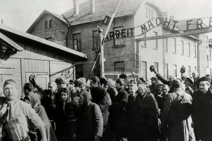 El momento en que las tropas soviéticas liberaron Auschwitz en un día como hoy en 1945