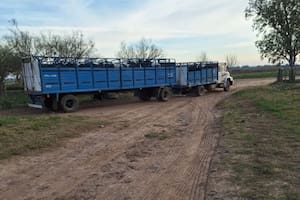 El momento en que las vacas se fueron del tambo