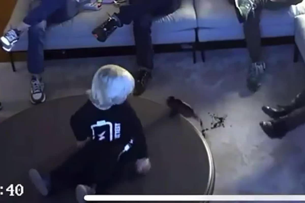 El momento en que Mirko volcó una botella de vino en la alfombra de Marley