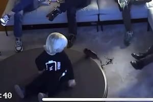 El momento en que Mirko volcó una botella de vino en la alfombra de Marley