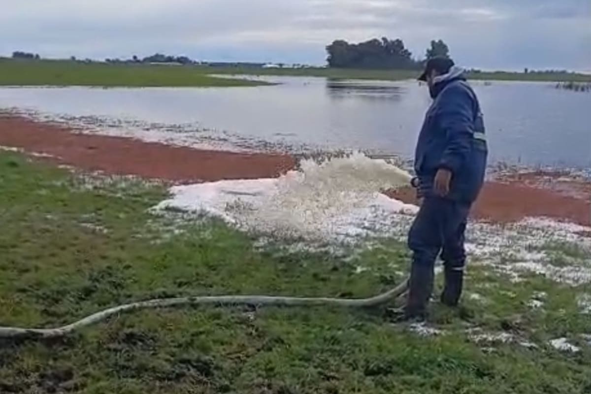 El momento en que se tiró parte de la leche del cisterna