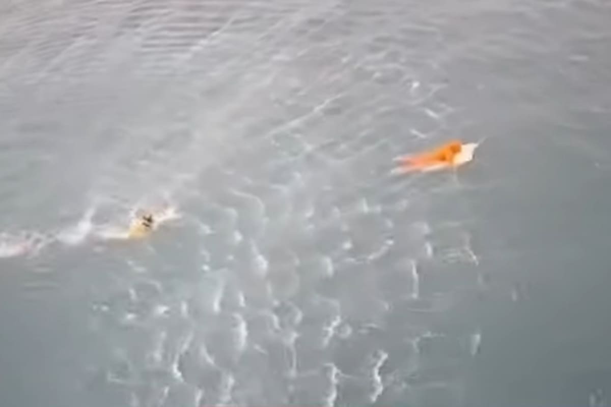 El momento exacto del rescate