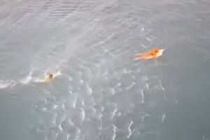El momento exacto del rescate