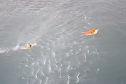 El momento exacto del rescate