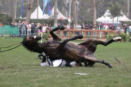 El momento más impresionante de la caída: el jinete es aplastado por su caballo