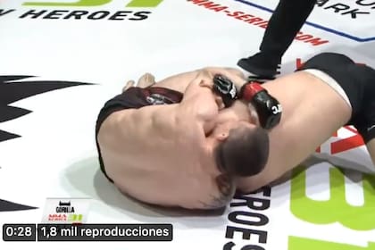 El momento previo en que, según los internautas, el árbitro debería haber terminado la pelea